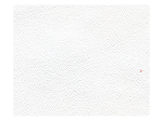 218 White Nanofiber Faux Leather
